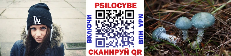 Купить где  Суворов  Галлюциногенные грибы Psilocybine cubensis 